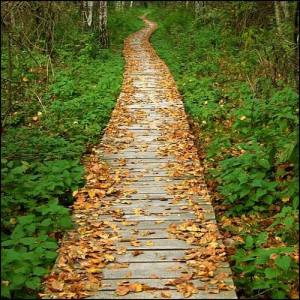 968870_413648298744031_749700924_n