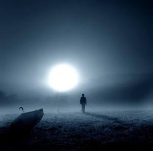 1237049_428360257272835_1323982938_n