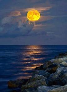 1017040_460838970697081_134491551_n