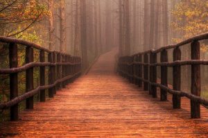 1234404_430675817041279_326894544_n