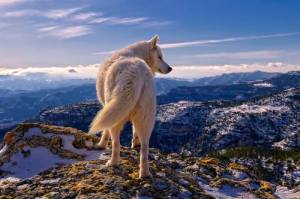 1235141_299445326860210_1759930975_n