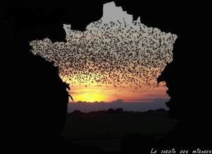 542241_304822126327524_257843966_n