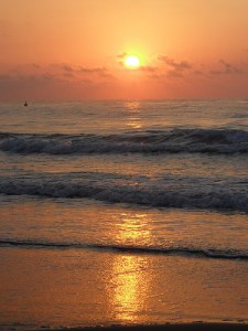 5537047079_90a4187782