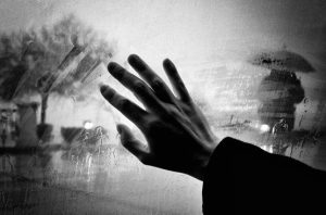 557733_680175825343087_1339271758_n