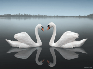 ReflectionPhotography_009