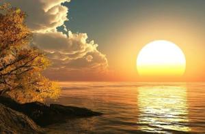 1374053_340674302743542_1748759638_n