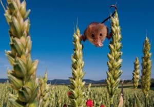 1376400_749014705124560_1984008636_n