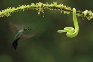 1378281_490684427694889_411675809_n