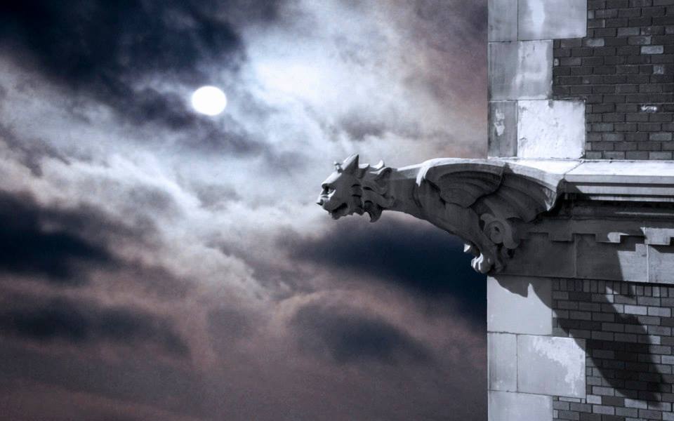 Láska alebo sebaopustenie?