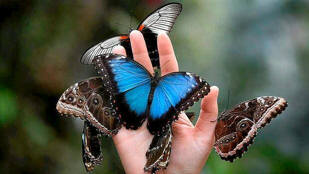 Zhmotnite si svoje priania cez&nbsp;vďačnosť