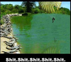 1451607_618256351570029_1883592778_n