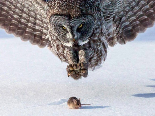 Karma je zdarma... alebo aj nie ;-)