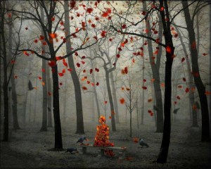 1524786_410730999030368_1379016332_n