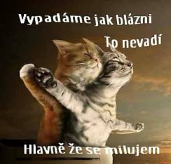 1535511_556691911086219_1459728417_n