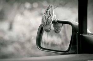 1010624_623899297658272_1811845799_n