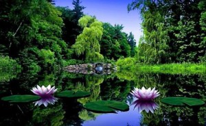 1607096_10151971255446647_1384013388_n