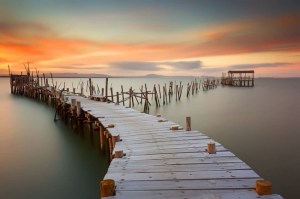 1622639_446888528744897_770841933_n