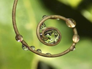 58419_454602001332650_1345124744_n