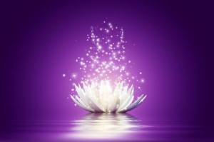 1779062_588478751221285_1126683183_n