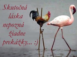 484372_567775533241171_569150056_n