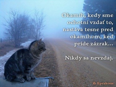 nikdy sa nevzdaj