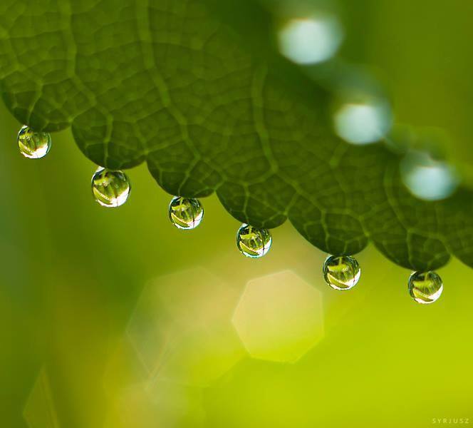 Keď je všetko&nbsp;jedno