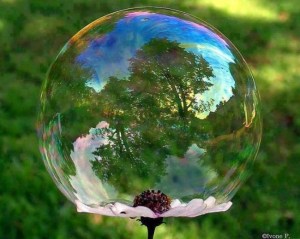 1912432_292633037553642_777129785_n