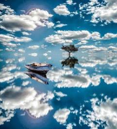 1970773_495424310580591_2102645401_n