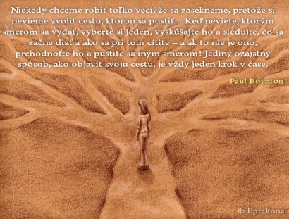 vždy jeden krok v čase