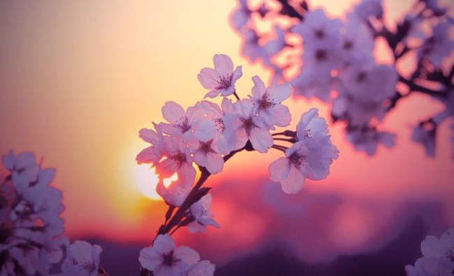 Malý návod na Ceste do&nbsp;seba