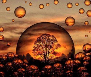 10325294_578072932291238_4772293932667195170_n