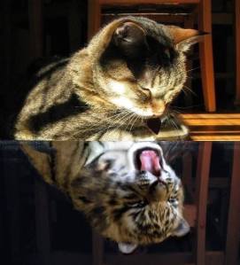 10421604_890311020983430_8716583431180862834_n