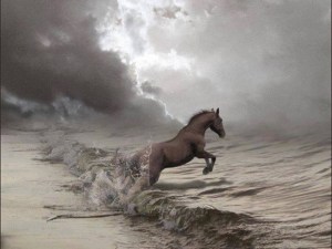 10526126_250417008491122_6062510062464872220_n