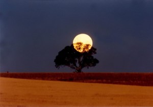 10537479_10152361674521647_7582628104839239485_n