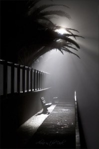 10557179_335621876595862_267808653712275328_n