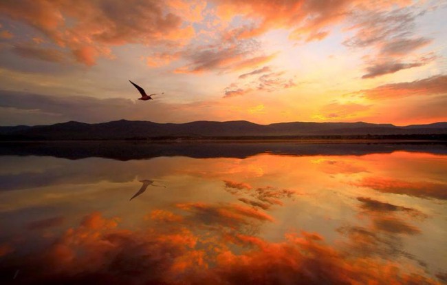 Pripútanosť nás drží v&nbsp;dualite