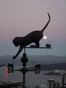 10659408_921115767902955_66347390402701025_n