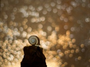 by Arnaldo Gutiérrez2