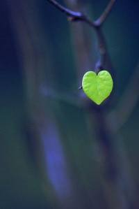 10624939_10204714140238440_4468691626993645419_n