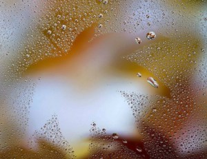 10423965_755338144534158_7869135520450610907_n