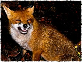 3803917876_4ef7a76f7b