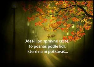 spravna cesta