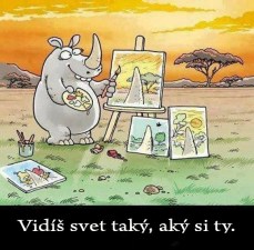 vidis svet