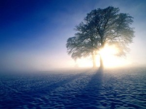 Winter_wallpapers_Winter_fog_011836_