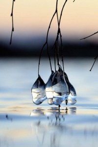 10320280_1544317442452767_1333388156757278585_n