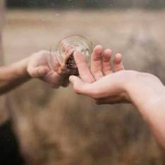 10354611_320823691442154_5241706435983601972_n