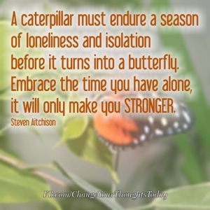 10407315_10152515805196439_2720979791945987579_n