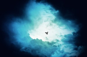 3551828277_bd66a6b300