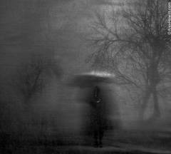 by Alex Howitt