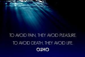 10704191_10153062327967069_8890236193474837255_n